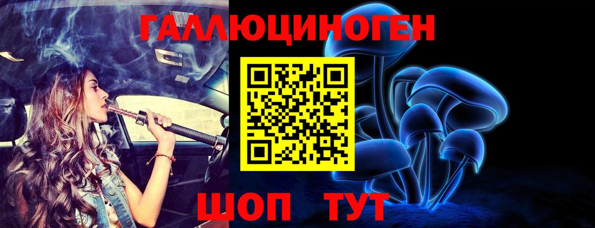 Псилоцибиновые грибы GOLDEN TEACHER Клин