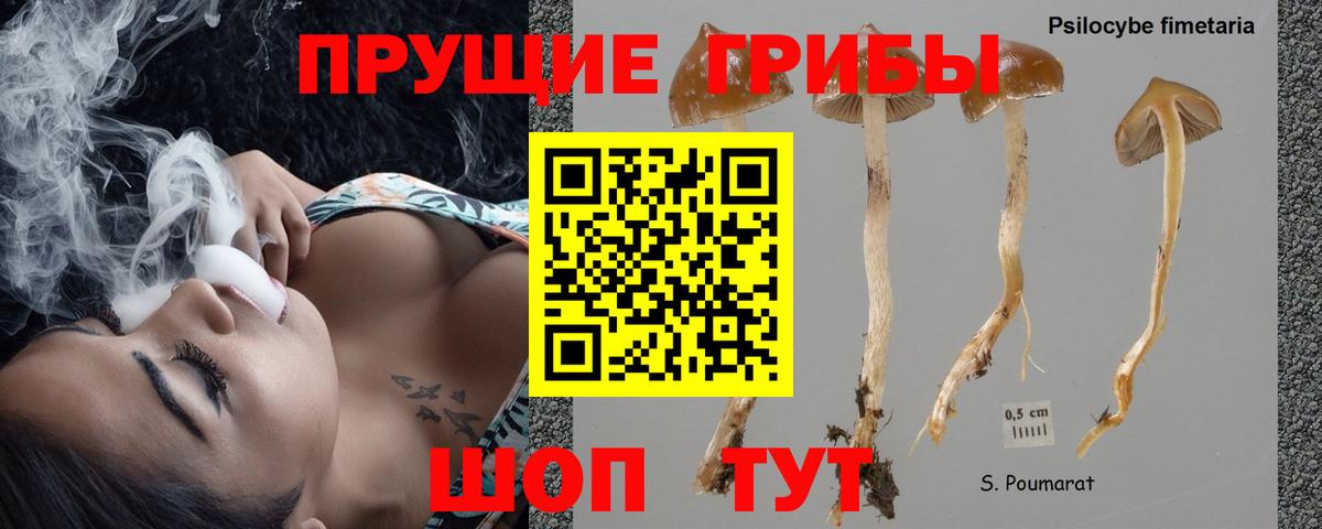 Клин  Галлюциногенные грибы MAGIC MUSHROOMS  Вход с VPN 